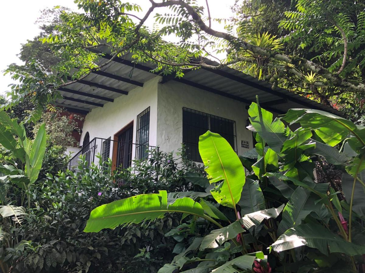 El Valle De Anton La Chachalaca 외부 사진