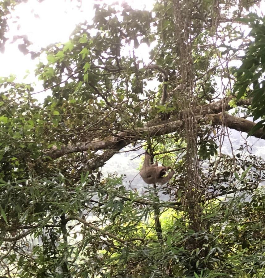 El Valle De Anton La Chachalaca 아파트 외부 사진