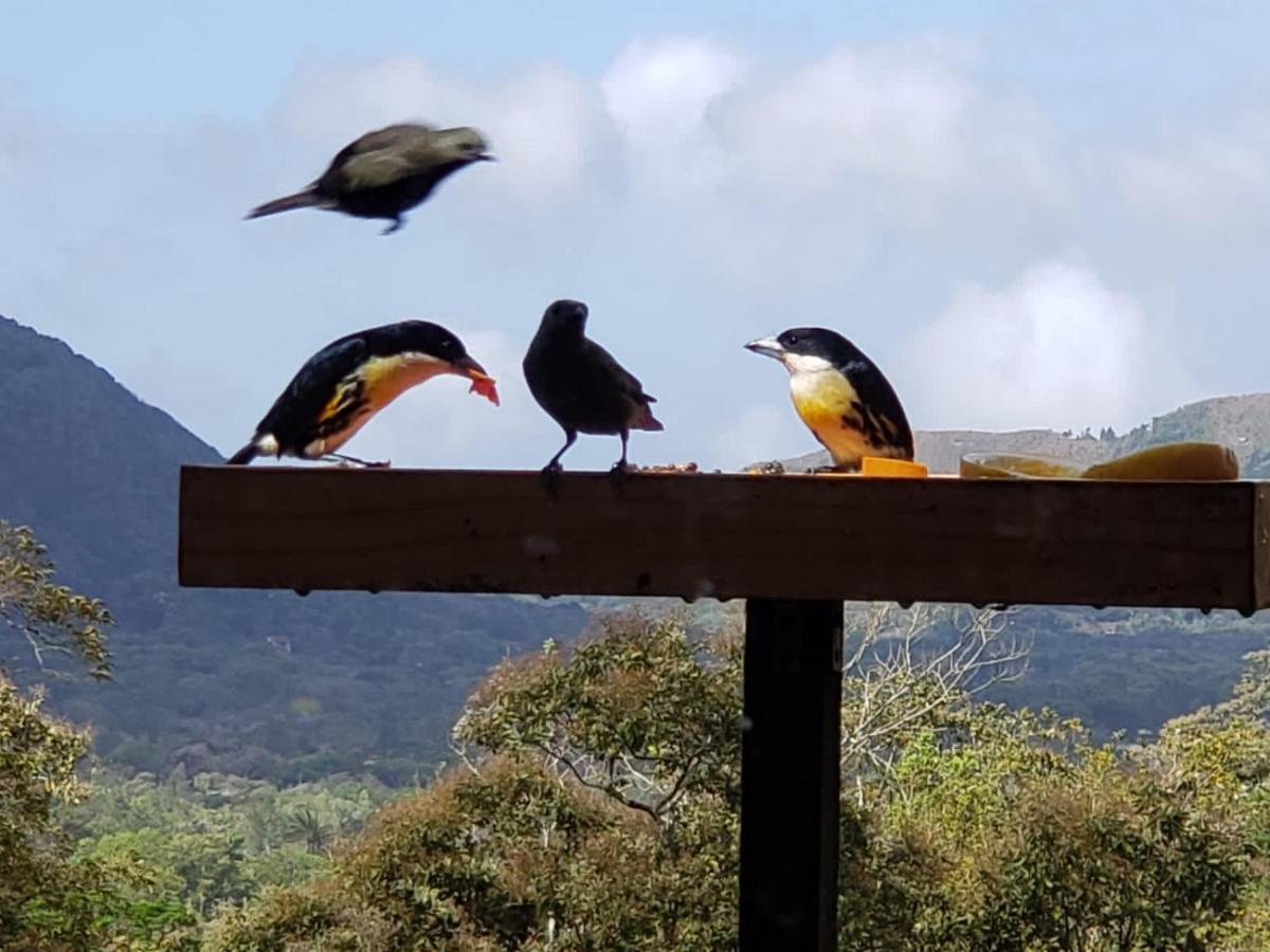 El Valle De Anton La Chachalaca 외부 사진