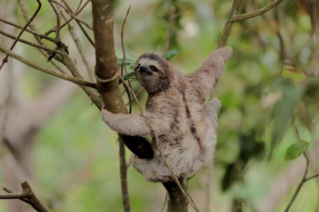 El Valle De Anton La Chachalaca 아파트 외부 사진