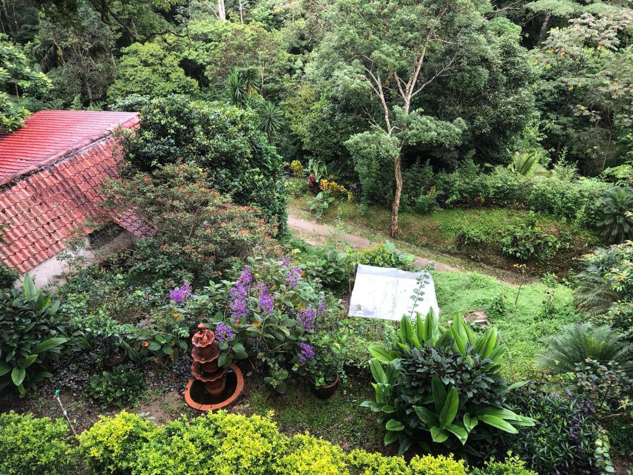 El Valle De Anton La Chachalaca 아파트 외부 사진