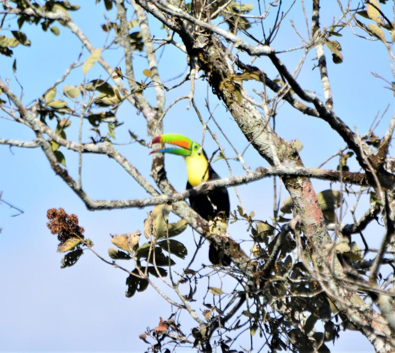 El Valle De Anton La Chachalaca 외부 사진