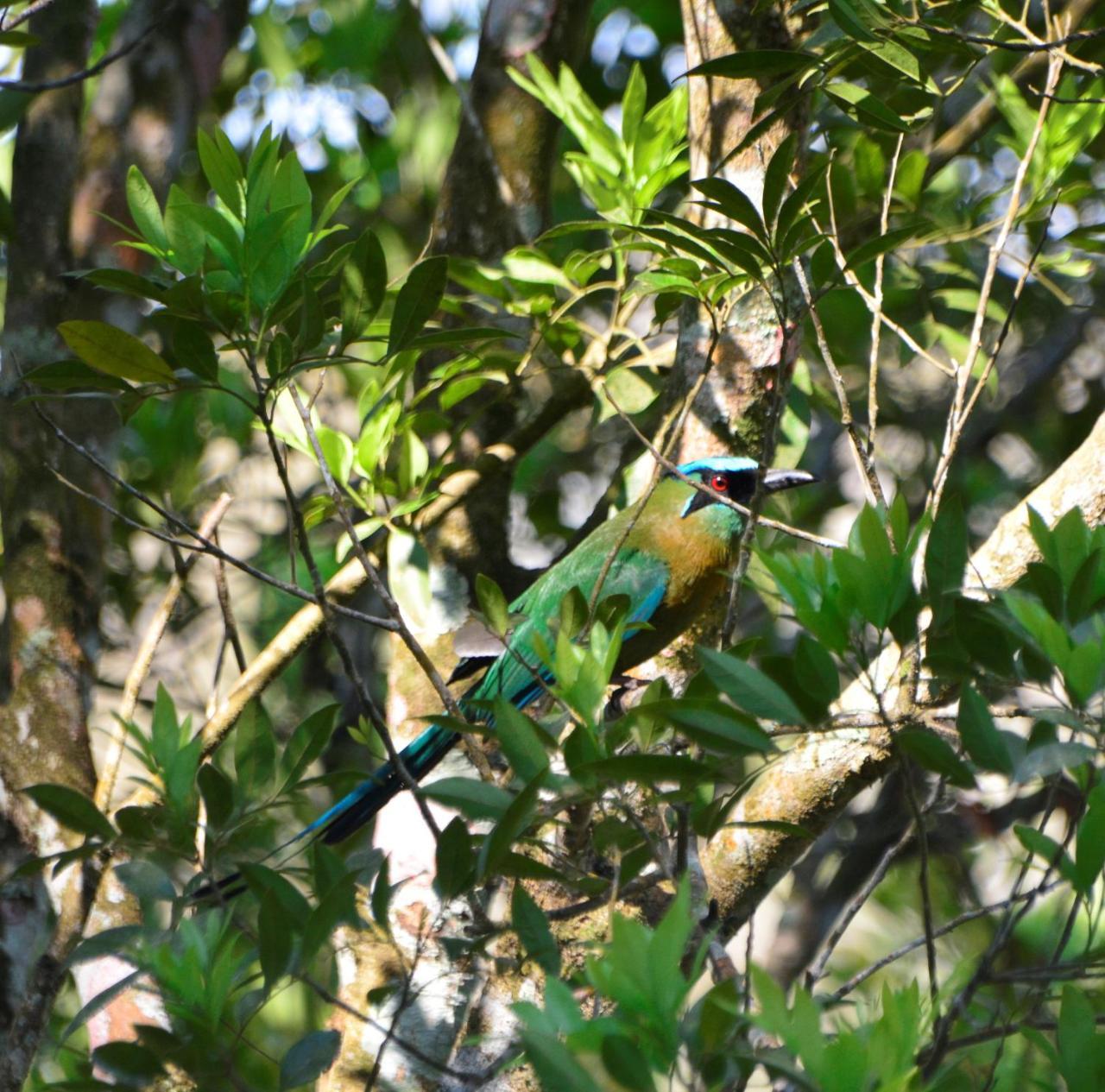 El Valle De Anton La Chachalaca 외부 사진
