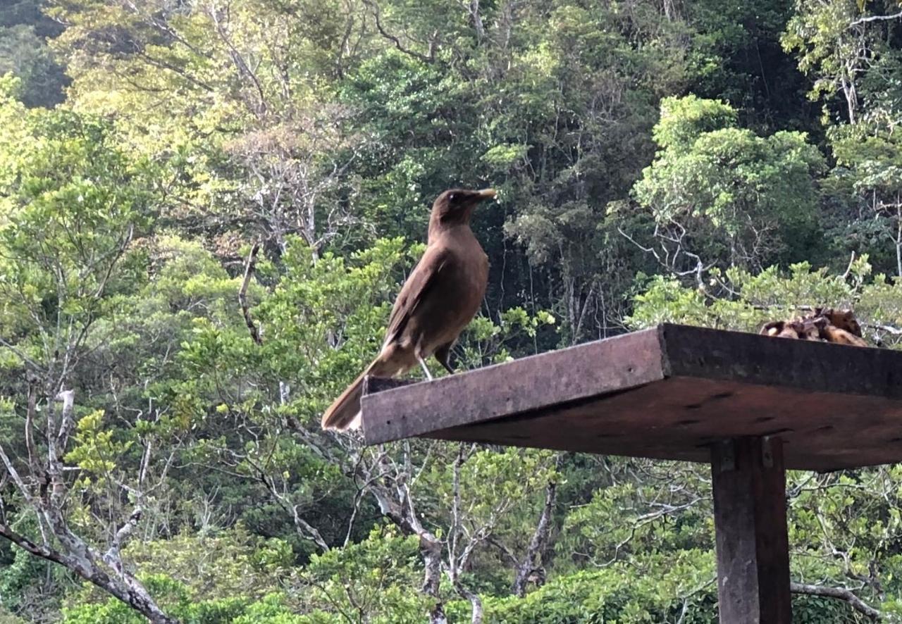 El Valle De Anton La Chachalaca 외부 사진